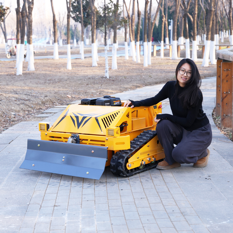 Customized 550S Tracked Self‑P - Robot Track 评论和价格