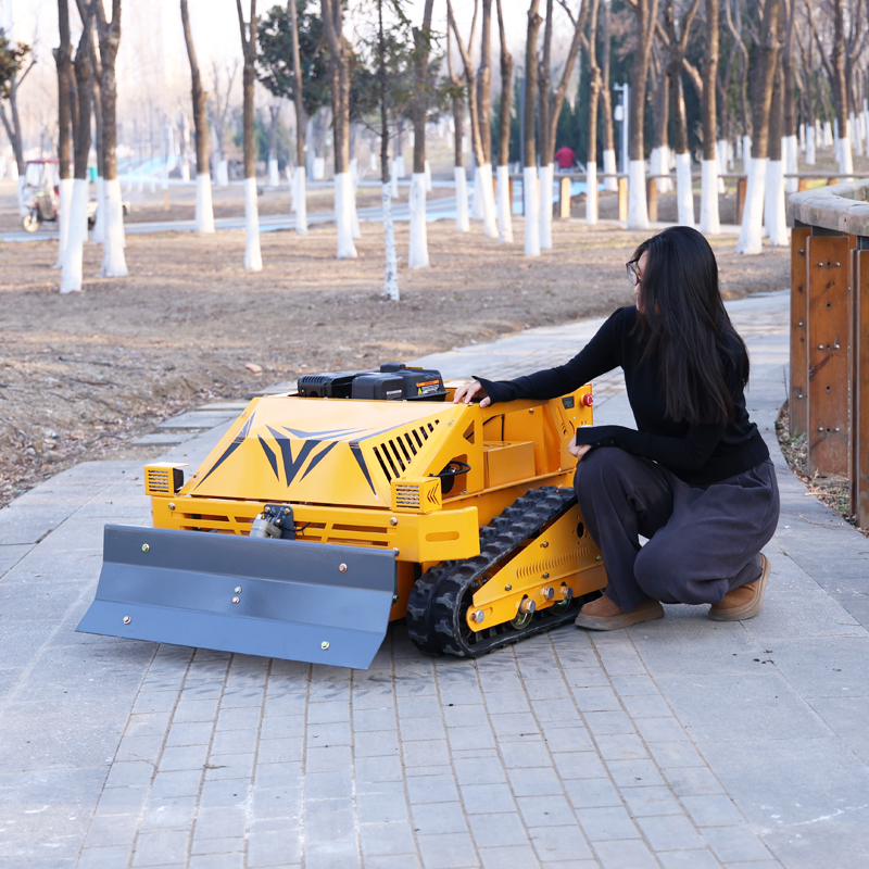 Customized 550S Tracked Self‑P - Robot Track 评论和价格